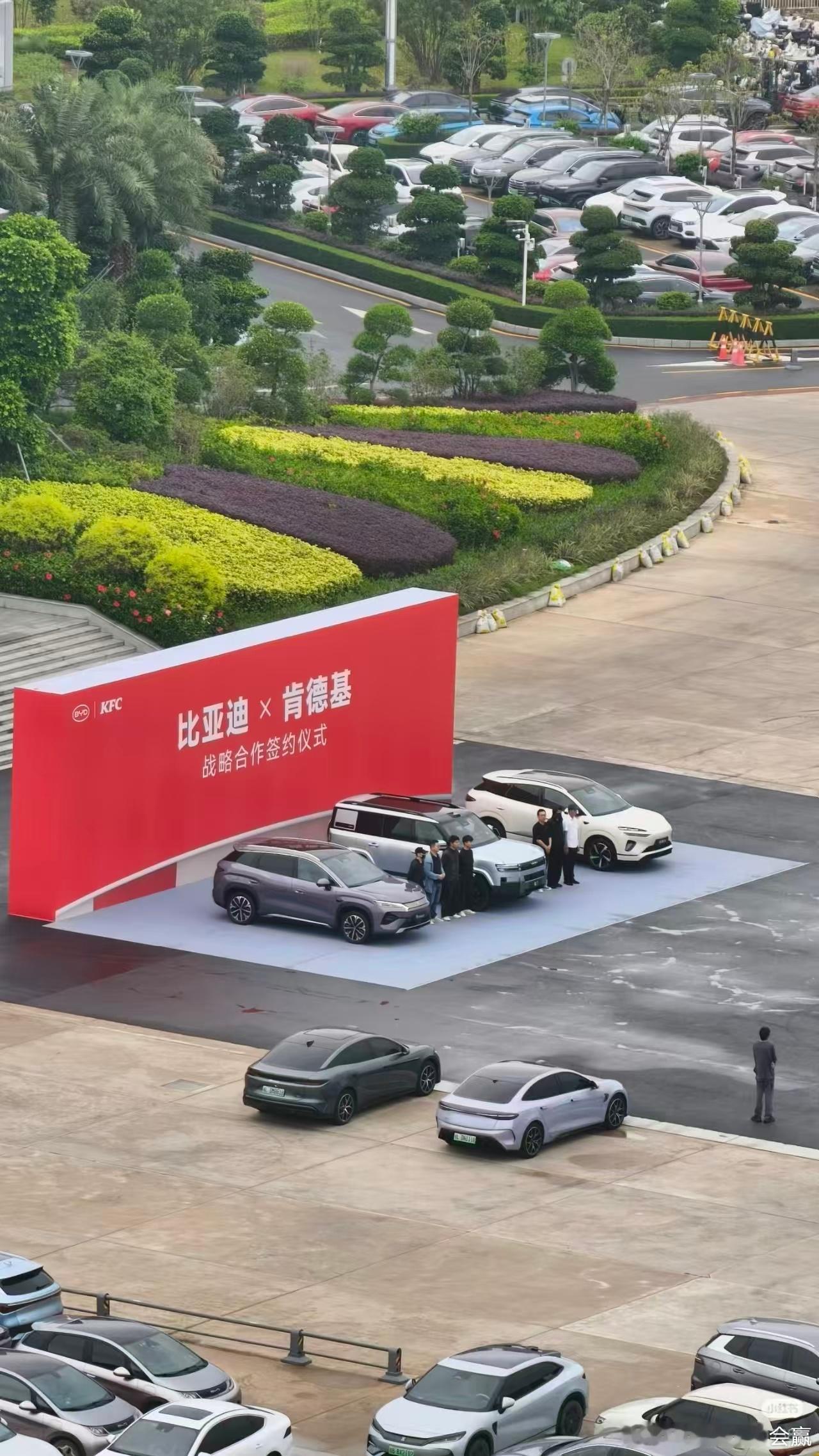 比亚迪和肯德基签约啥肯德基可是我在禾木每天吃的 