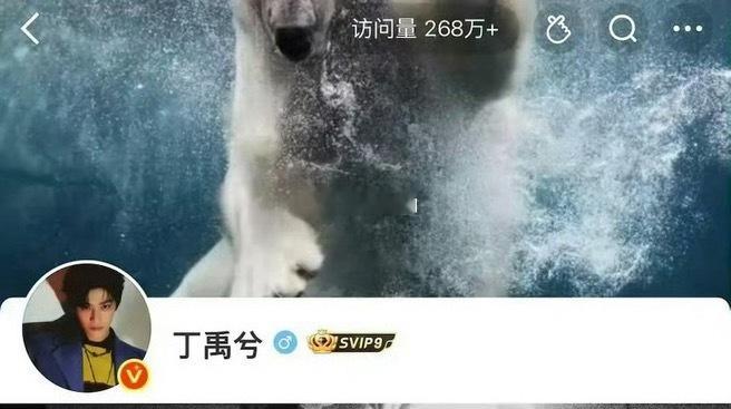 丁禹兮啥也没干主页访问量都将近300w耶 