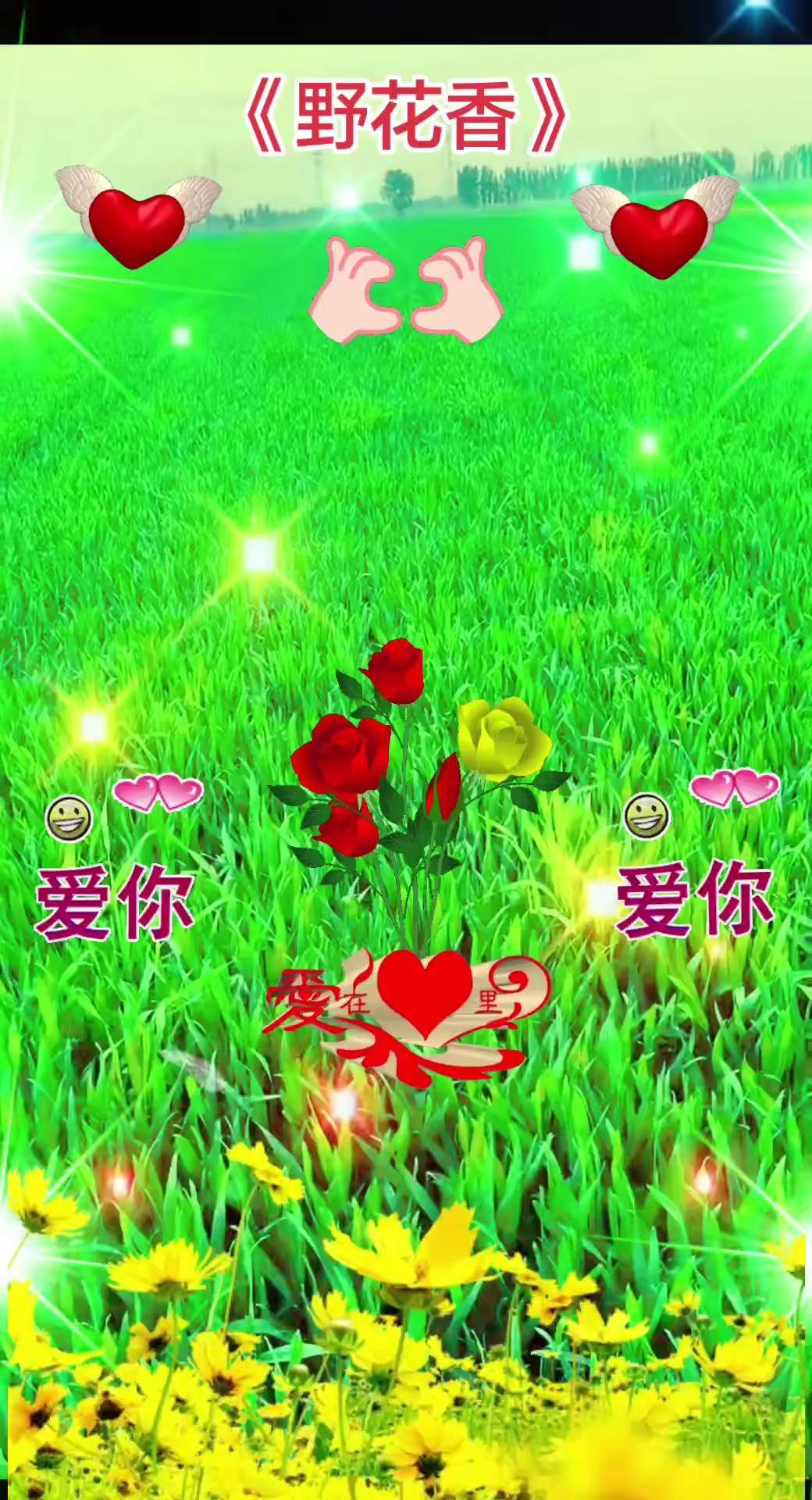 小麦成熟阶段