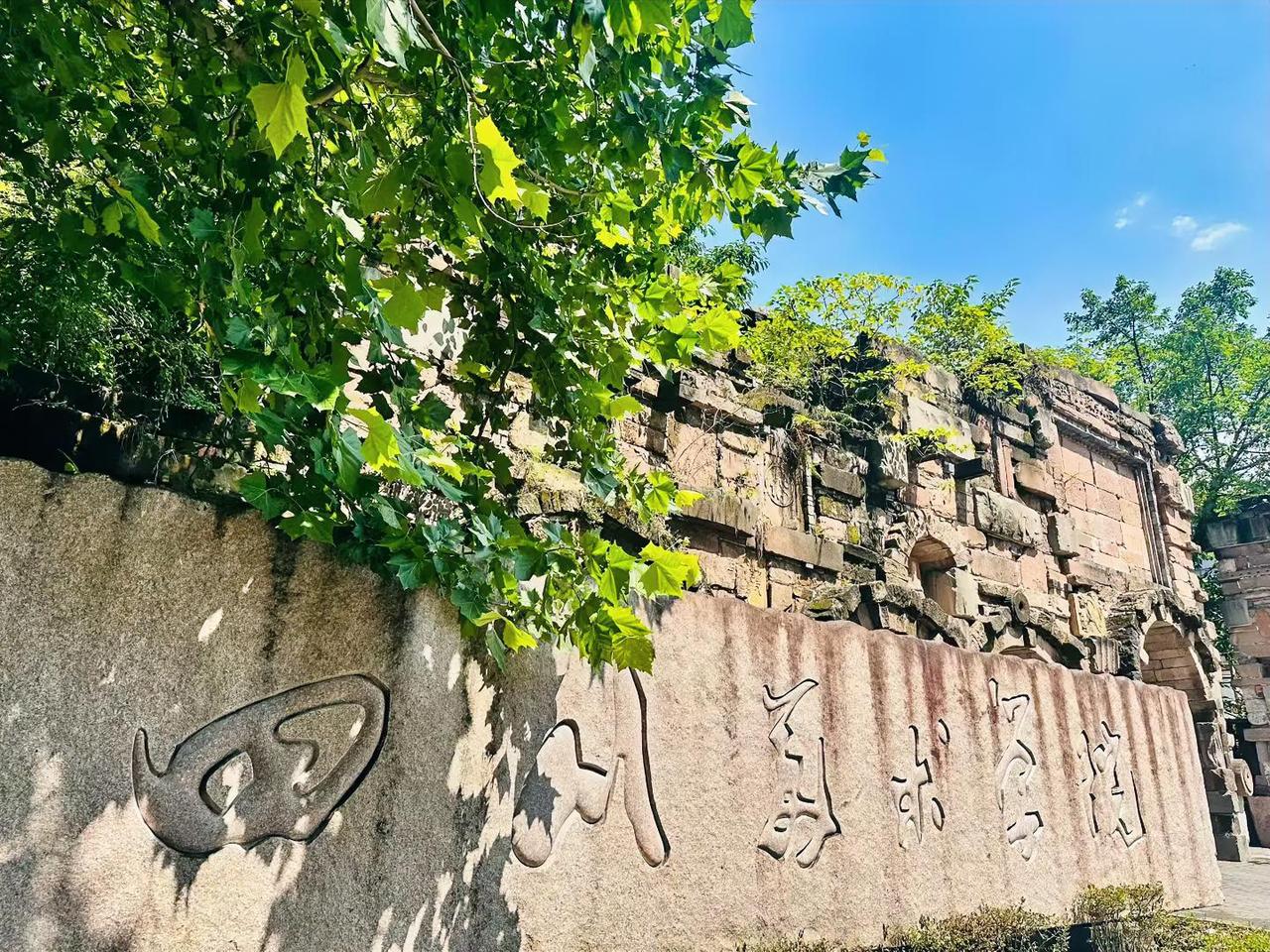 夏风漫花田，花期赴温柔，夏风轻轻漫过整片花田，风光温柔得恰到好处。

金黄菊花停