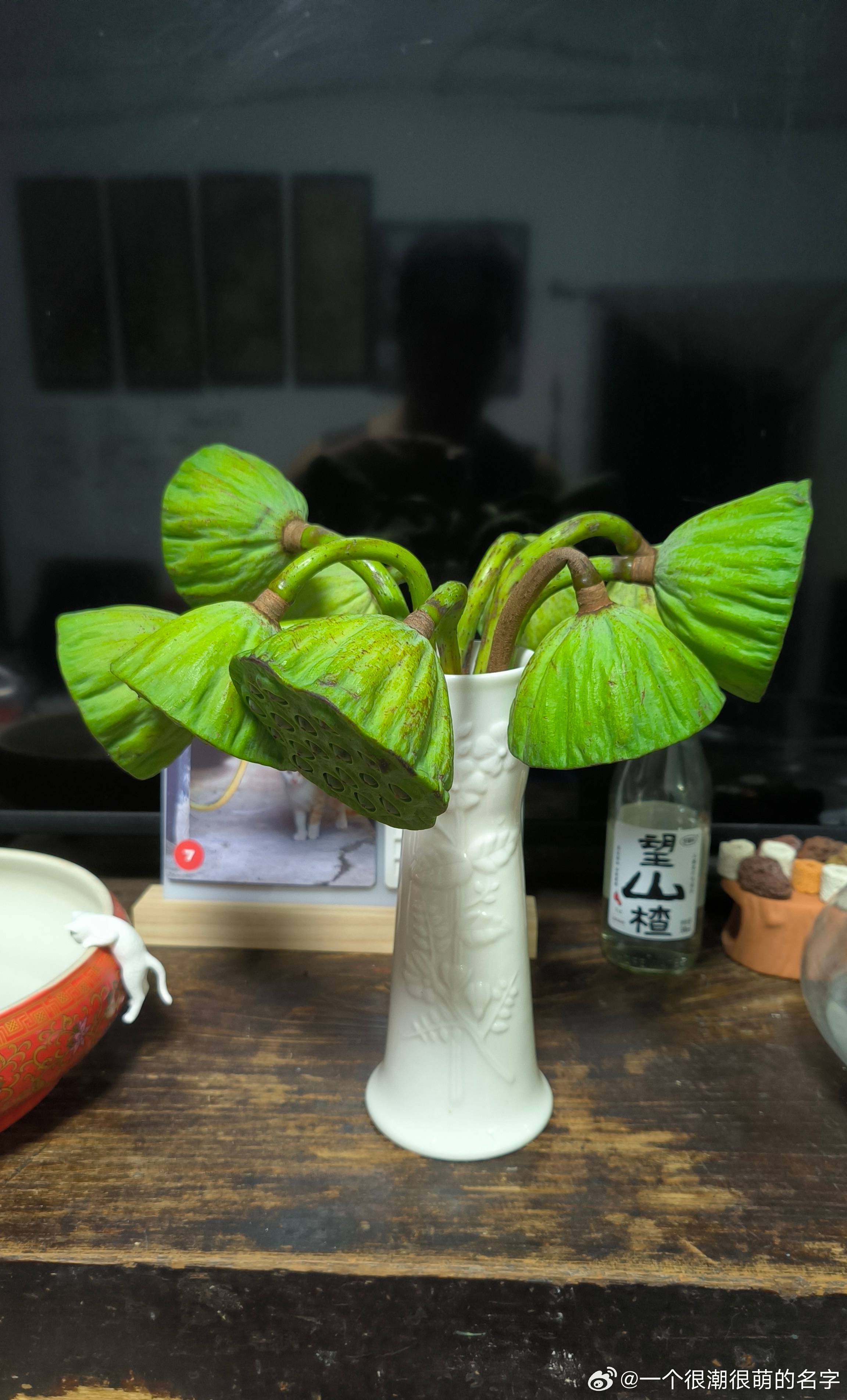 妞子下班，手拿一束莲蓬进门。我说你又买，她说我就是为了支持一下卖花的。 