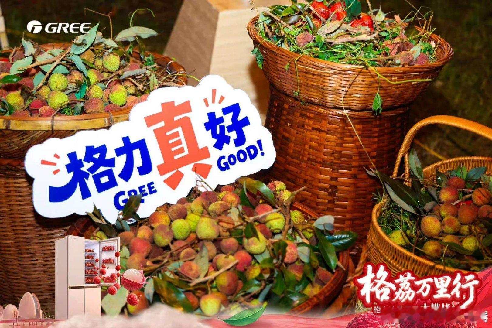 格荔万里行荔枝咒破了  《宁德冰箱里的荔枝鲜》宁德的六月，杨梅刚落市，荔枝就带着