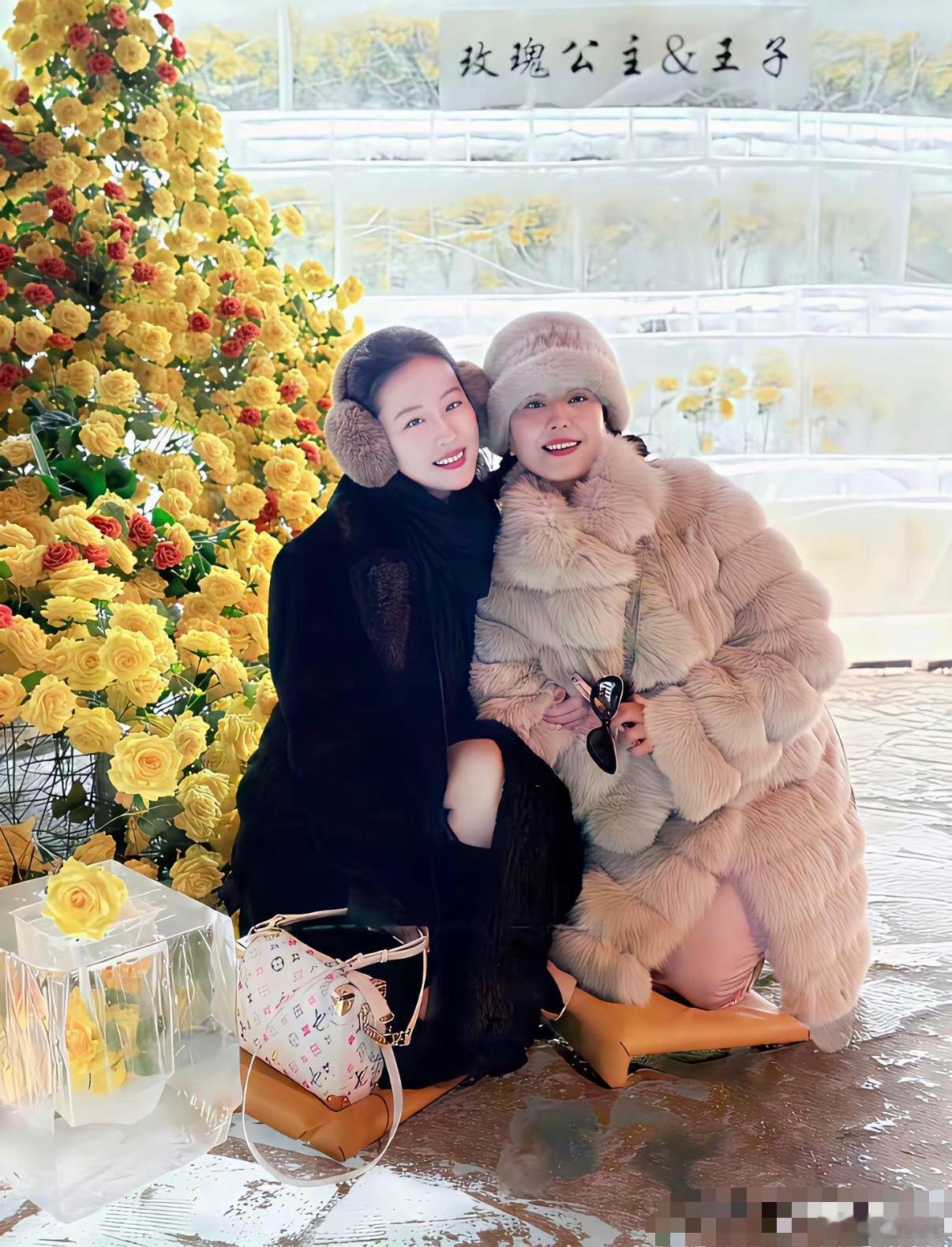 刘亦菲妈妈这富炫得……我竟然哑口无言！ 