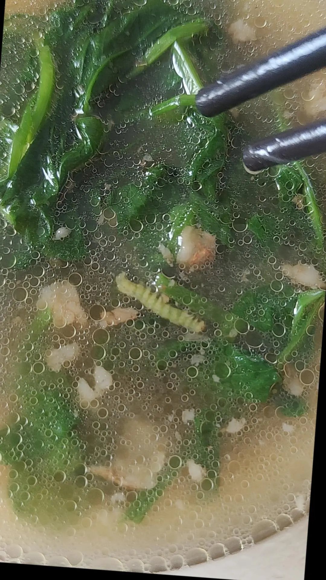 太久没吃肉了，这是给我加餐了