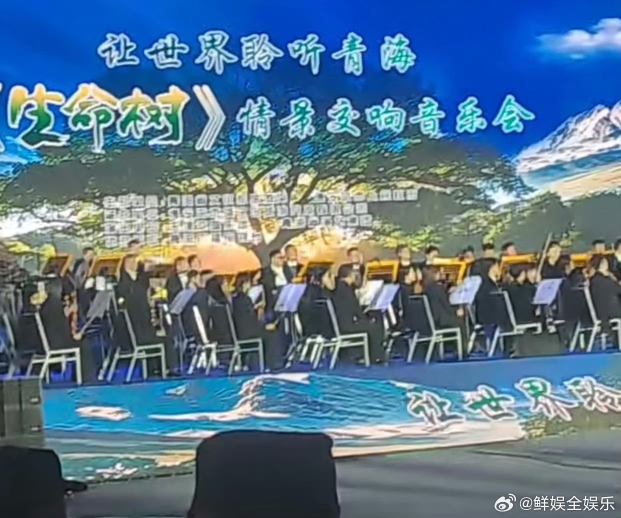 生命树开了交响音乐会生命树开了交响音乐会，还上了中国新闻网！杨紫生命树开了交响音