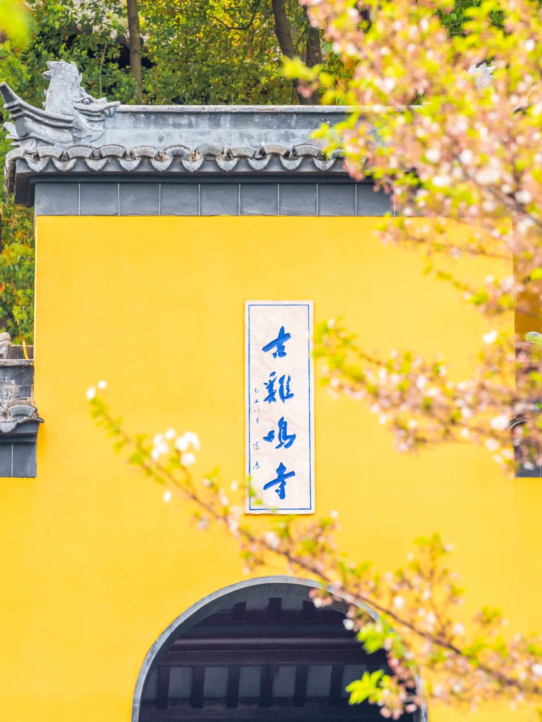 人生建议‼️去南京一定要来一趟鸡鸣寺