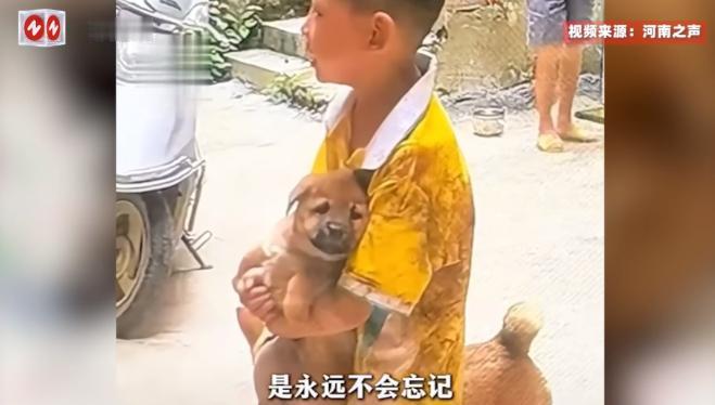 万物皆有灵！9月4日，广西贺州，一个家里的土狗在生下了5只小狗后，竟被主人亲自用