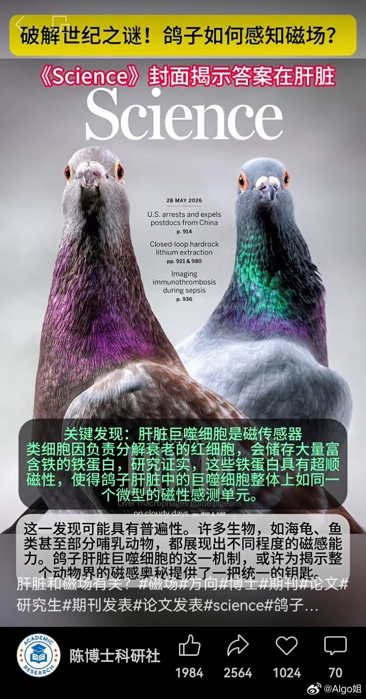 【现代“科技”就是把老祖宗早就知道的事情，都发现一遍？】视频核心内容：“《Sci