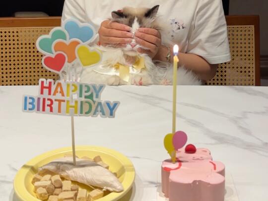 我五岁啦🎂