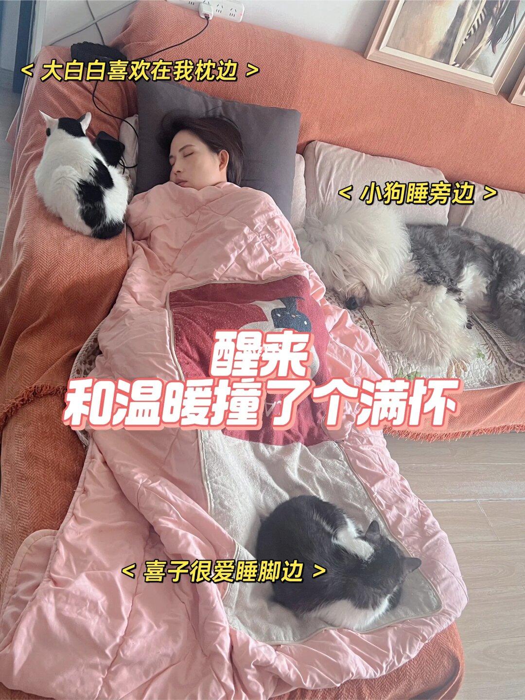 它们什么也不做，躺在那儿，就很治愈