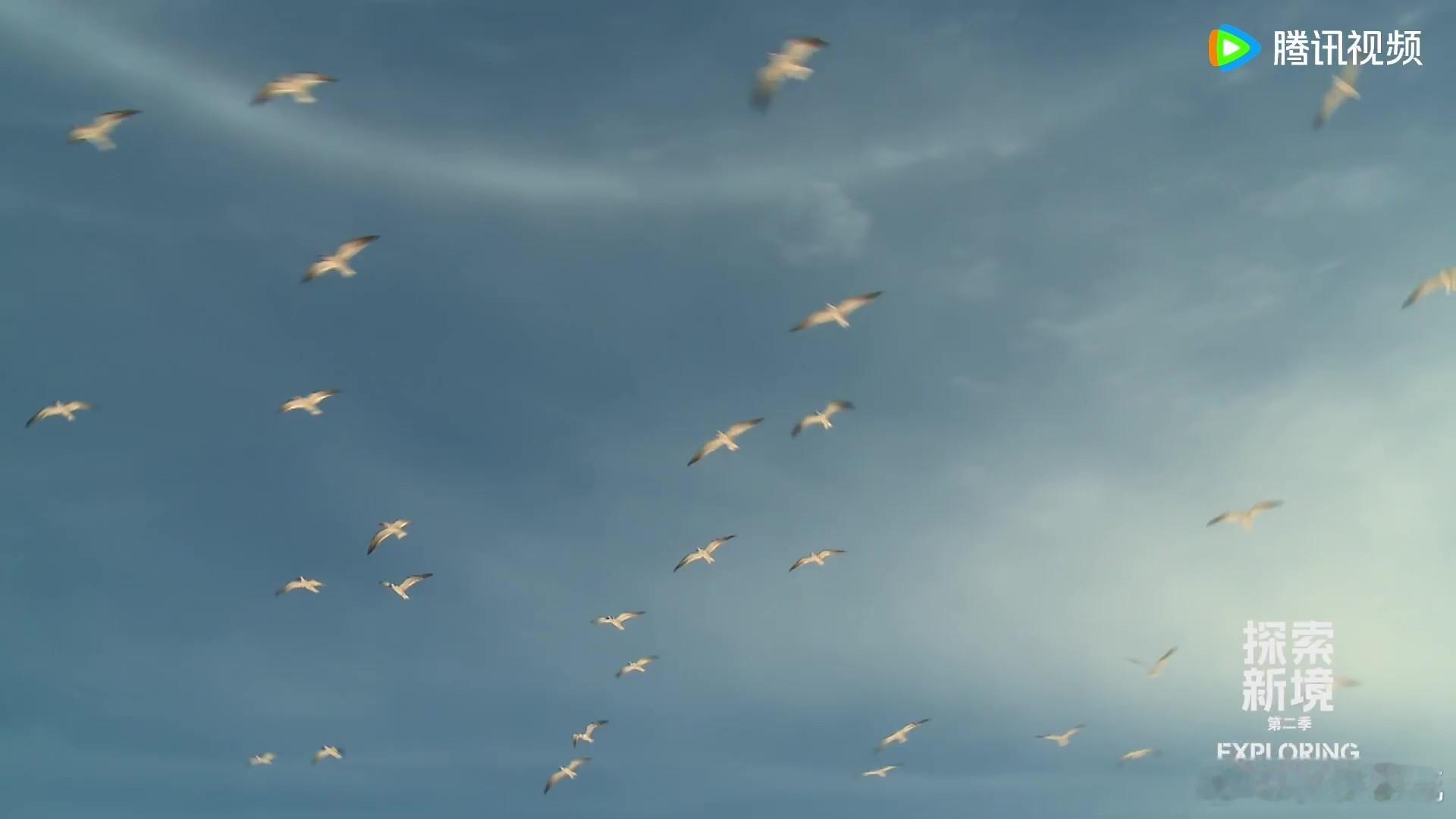 整个生物圈都在打卡王一博 转发吸顶级好运！他的自然亲和力直接拉满，向导都感慨十年