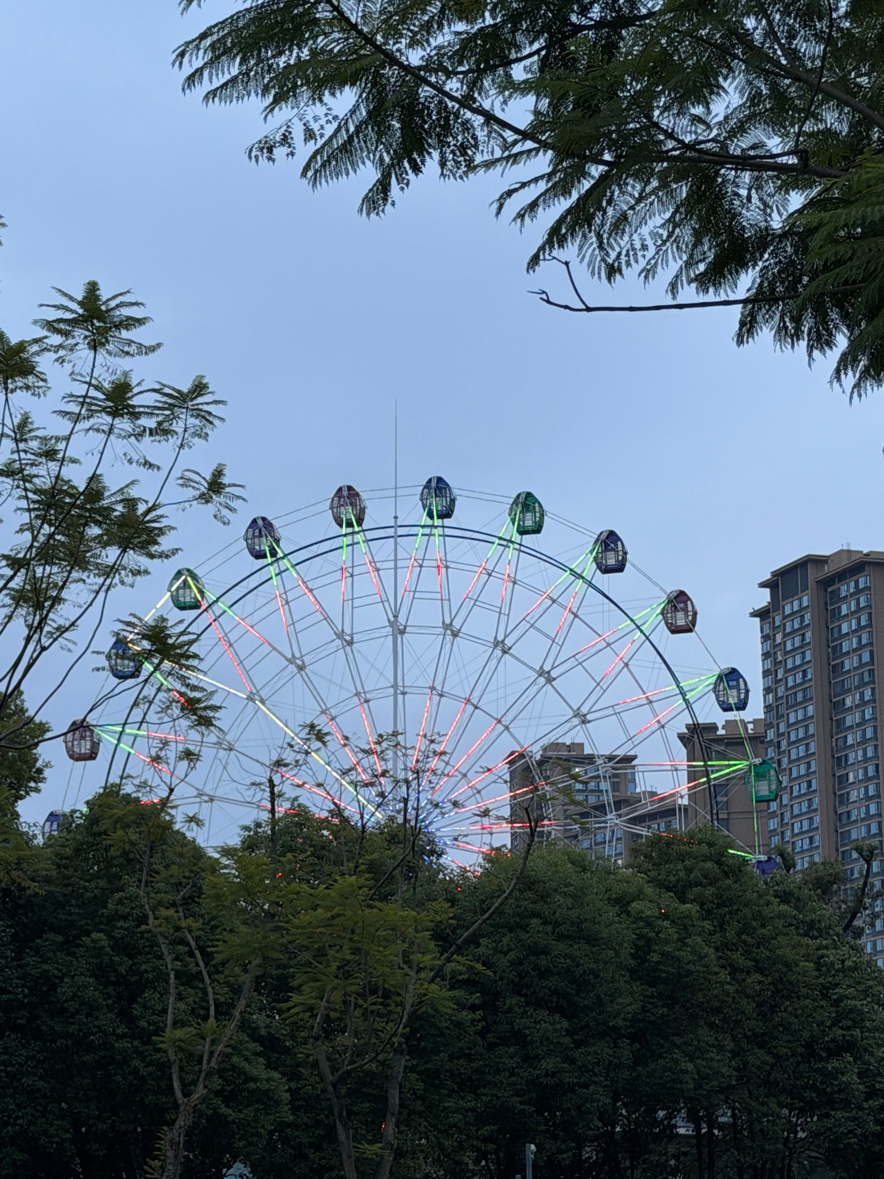 从第一天到第三十天。Suxi杀青快乐～ 