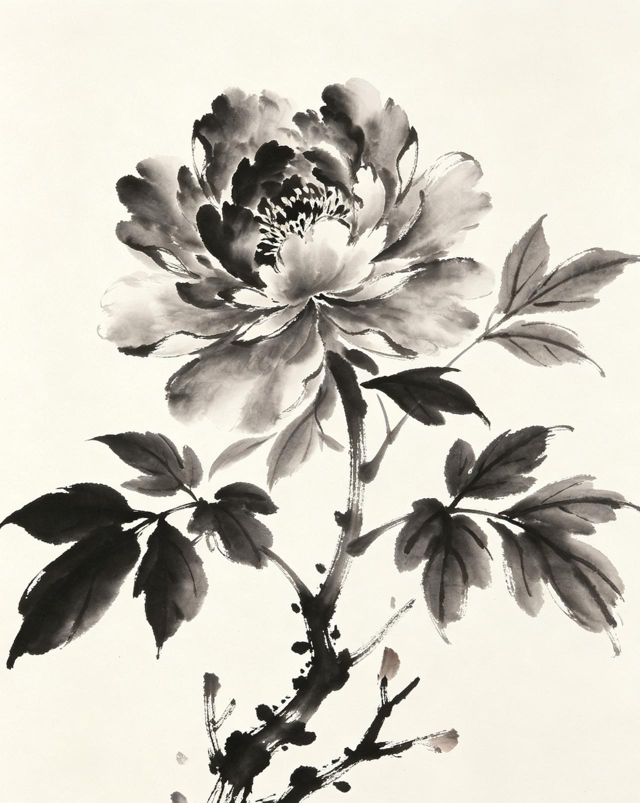 挥毫落墨，醉赏牡丹魂
总觉世间花卉繁多，唯有牡丹配得上“国色天香”四字。也只有提