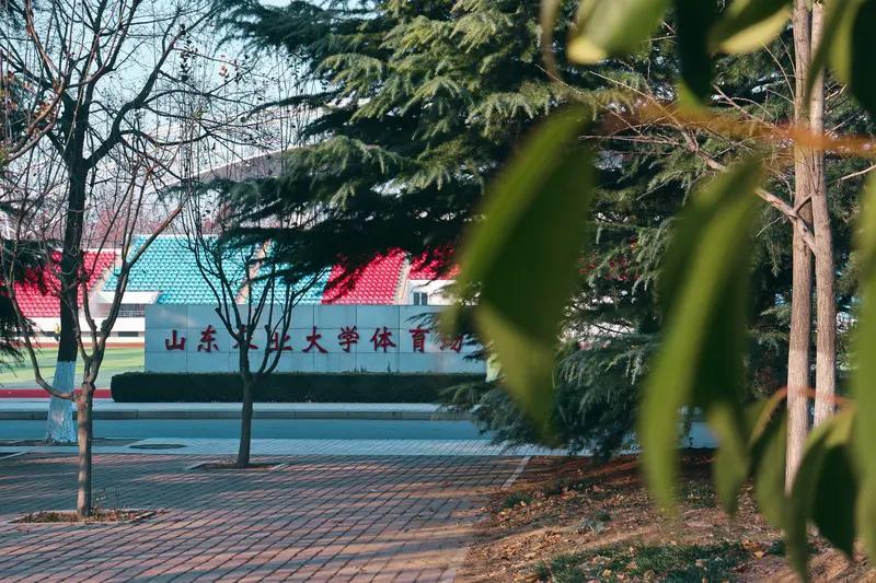 2026年山东“专升本”3月11日起报名啦！近日相关部门联合发布通知，招生对象主