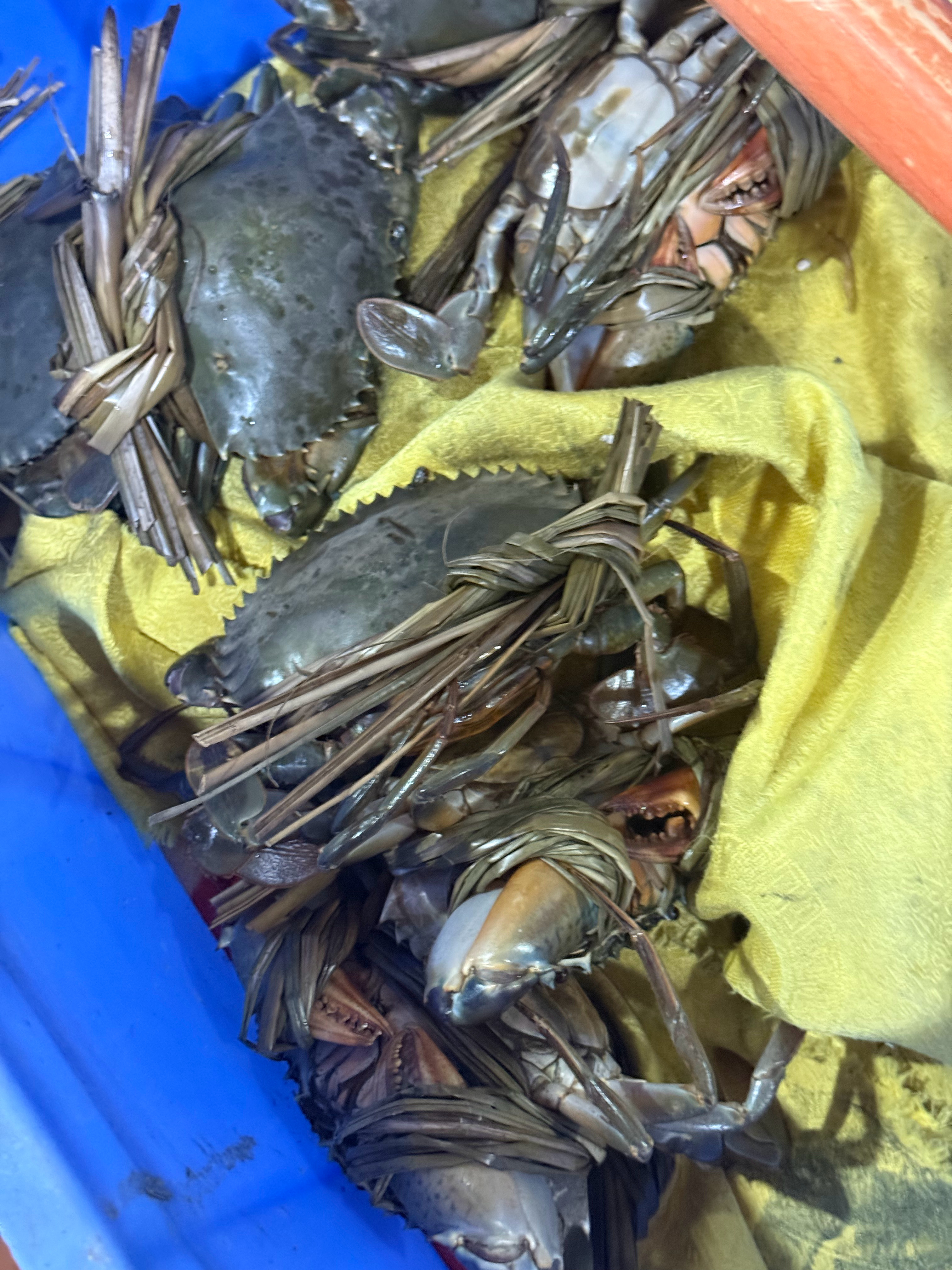 一般人，我不会带她来这家大排档