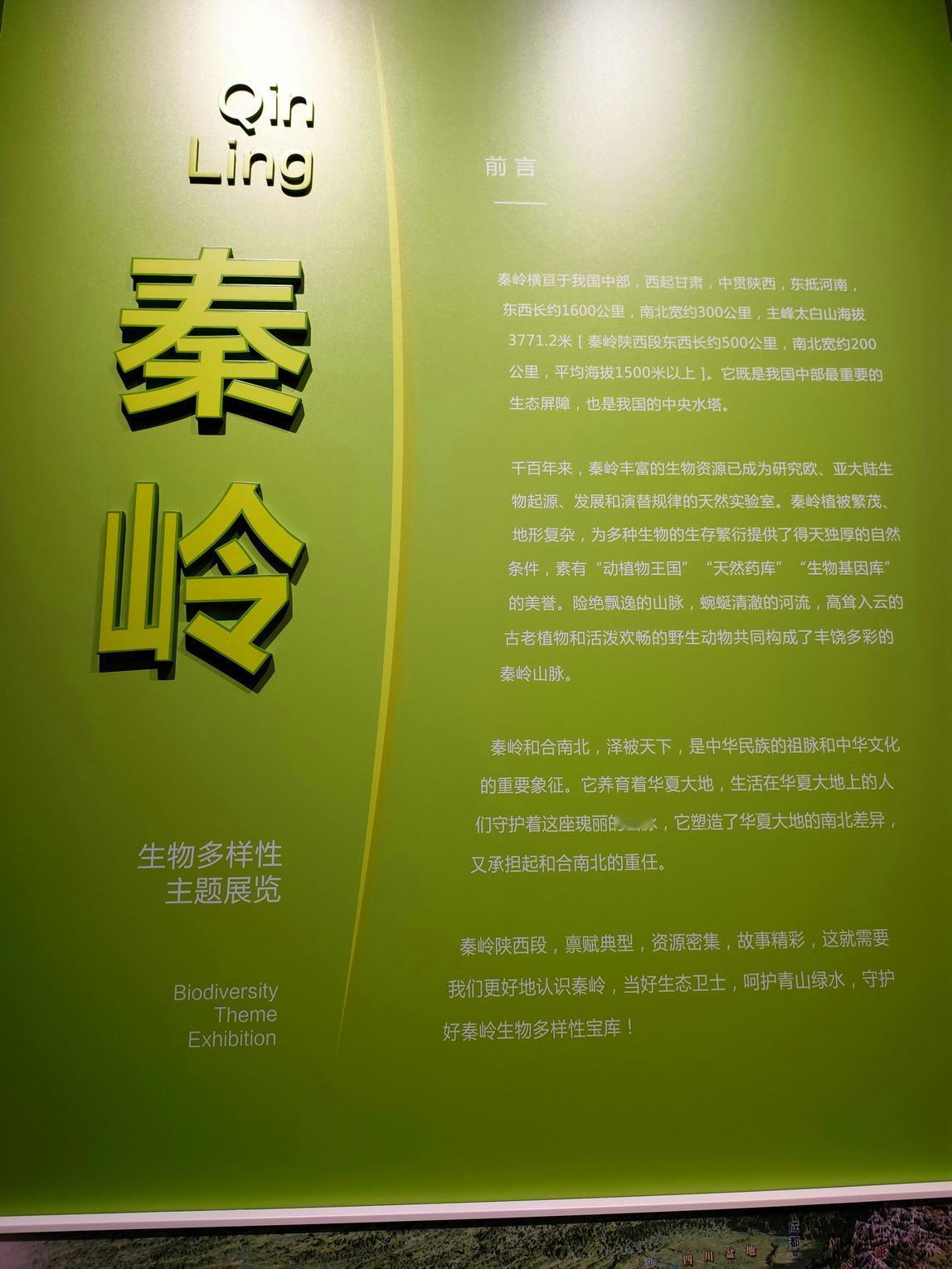 【陕西自然博物馆好玩吗？值得一去吗？攻略来了（3）】秦岭的“原住民”，都在这儿了
