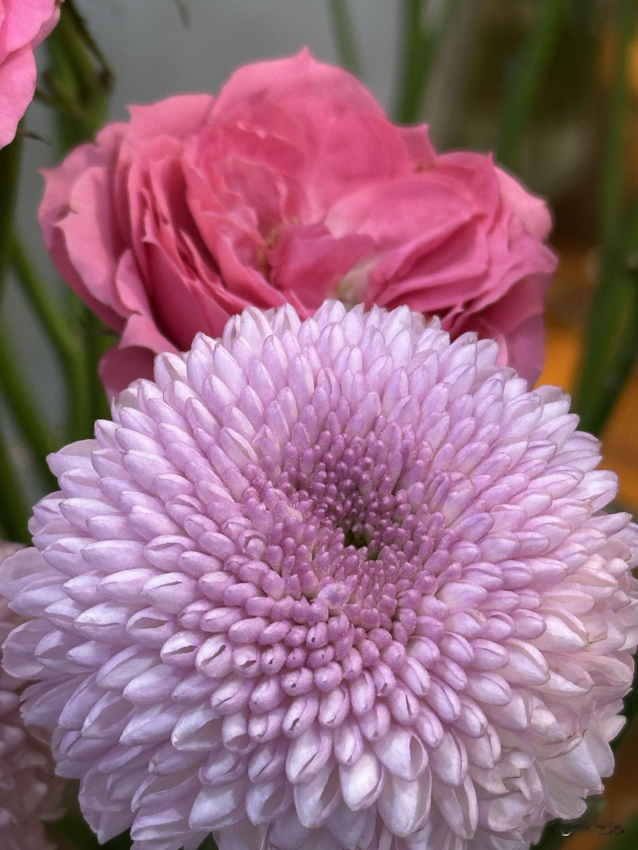 刷到刘欢的女儿33岁完婚的消息，我想应该能治愈❤️‍🩹很多焦虑父母的心，人生没