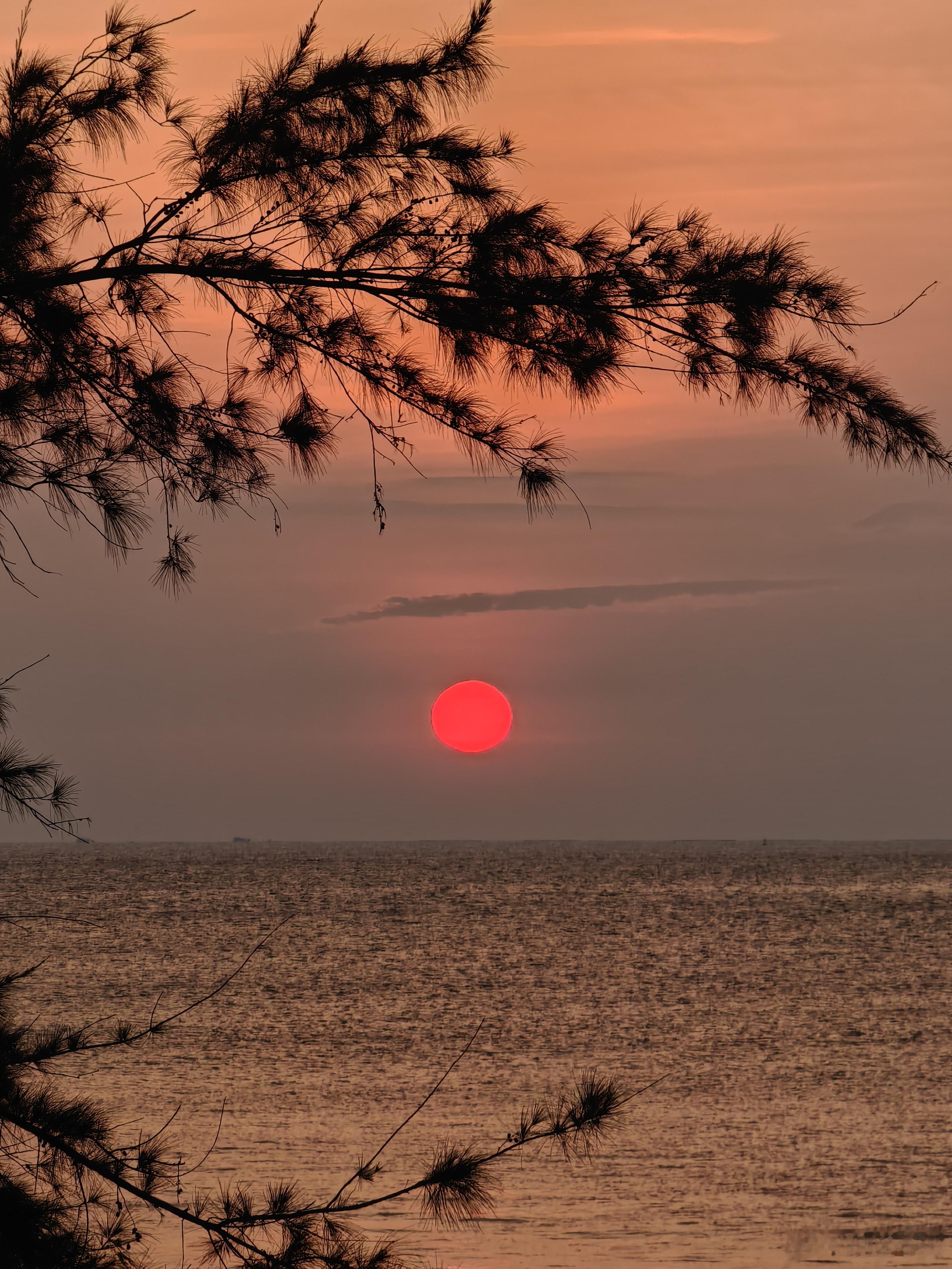 各位，新年好。祝2026年顺顺利利，心想事成。 