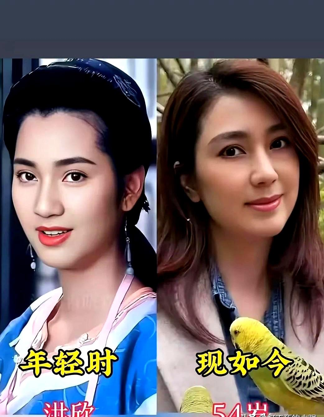 天天刷短视频看着满屏“科技与狠活”的流水线网红脸，你是不是也开始怀念二三十年前那