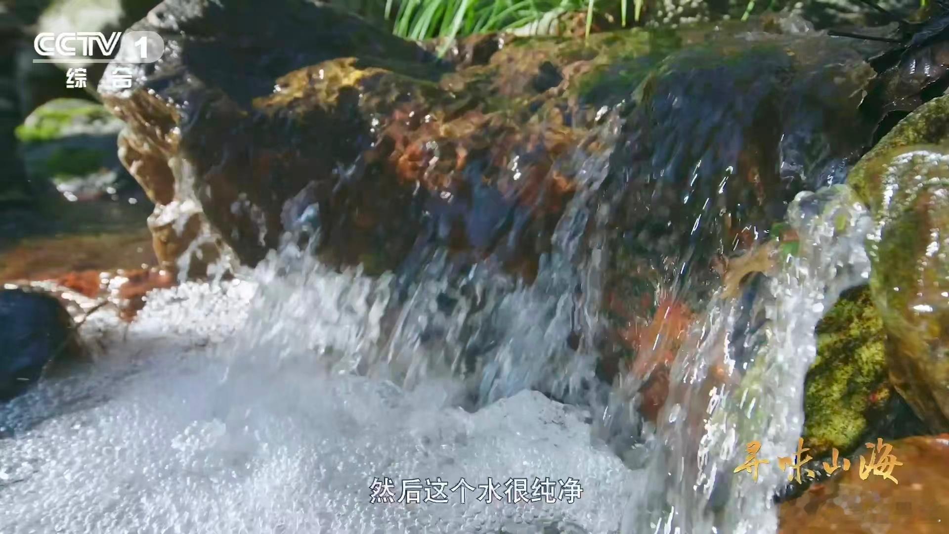 茭白居然和大米是亲戚 谁能想到啊！如今水乡宴席上常见的茭白，竟是古时能产菰米的粮