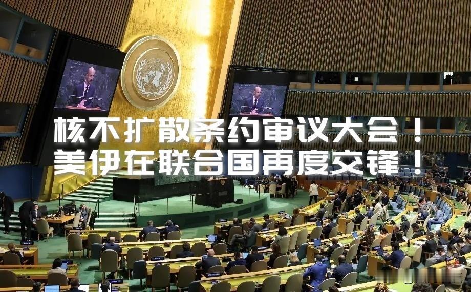 【《核不扩散条约》审议大会主席国已定！副主席国高达34国，但美伊互相反对对方成为