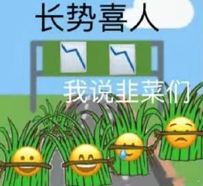 河南一彩民花12元中了691万  彩票又滞销了是不是[doge]现在年轻人可不是