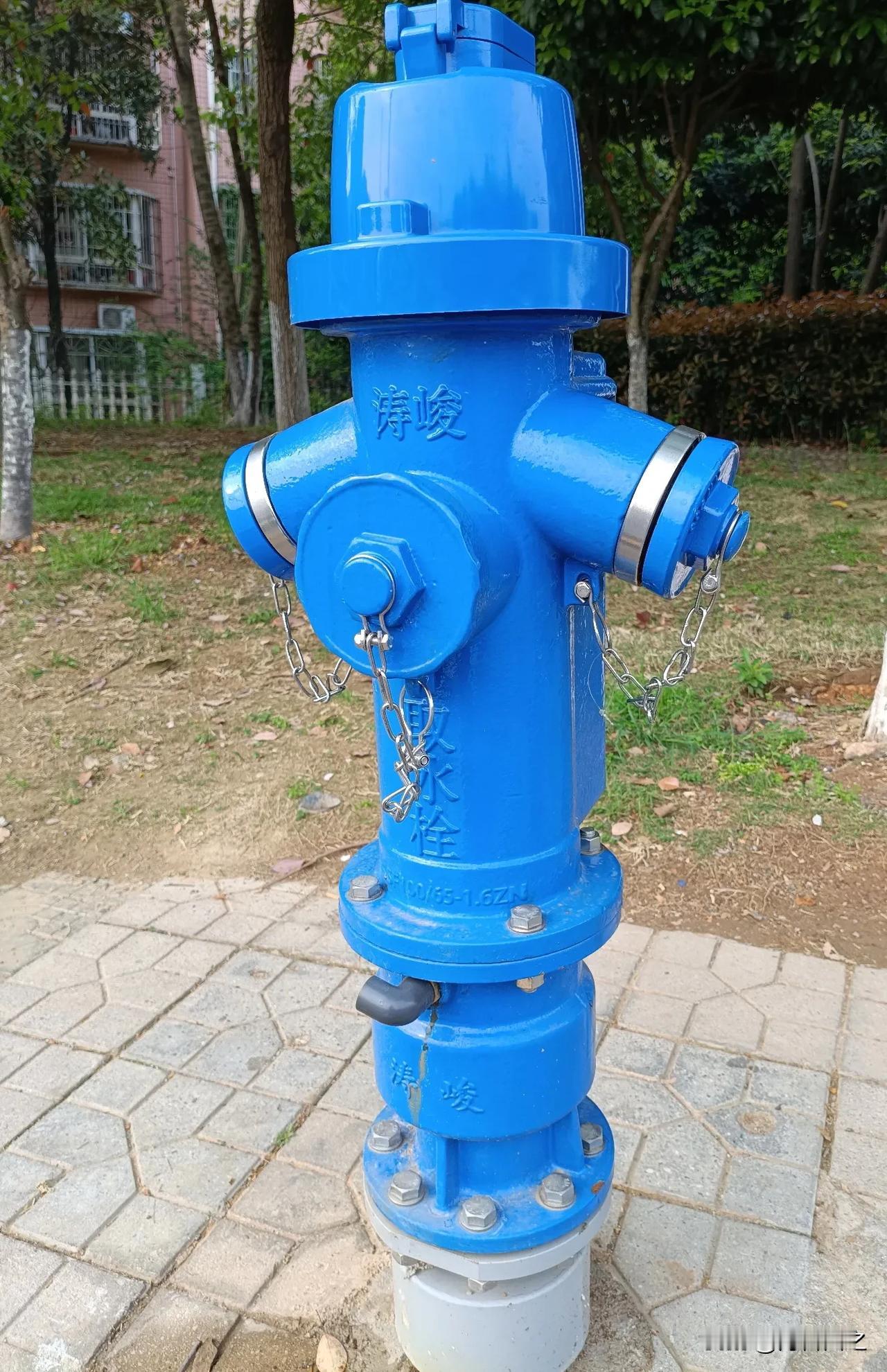 路过一地，发现了一个不一样的东西，它颠覆了我的认知。
原先，我看见过的消防器材，