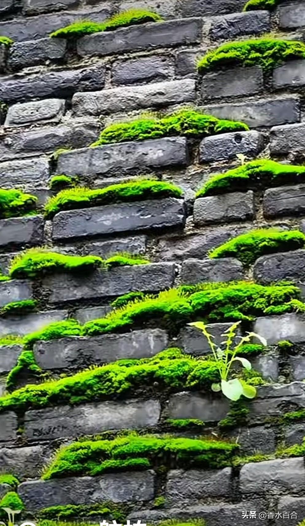 加拿大总理卡尼：难道任由霸权主义说了算？

美伊战争已经进入第八天，并且冲突的范