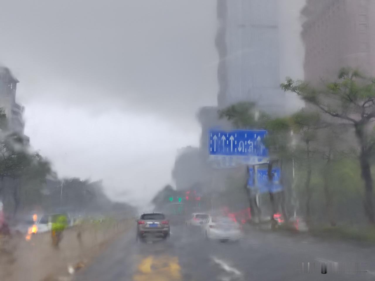 湛江。9月29日上午的雨很大，在雨中开车，可见度很低。在降雨期间，湛江市区也有不
