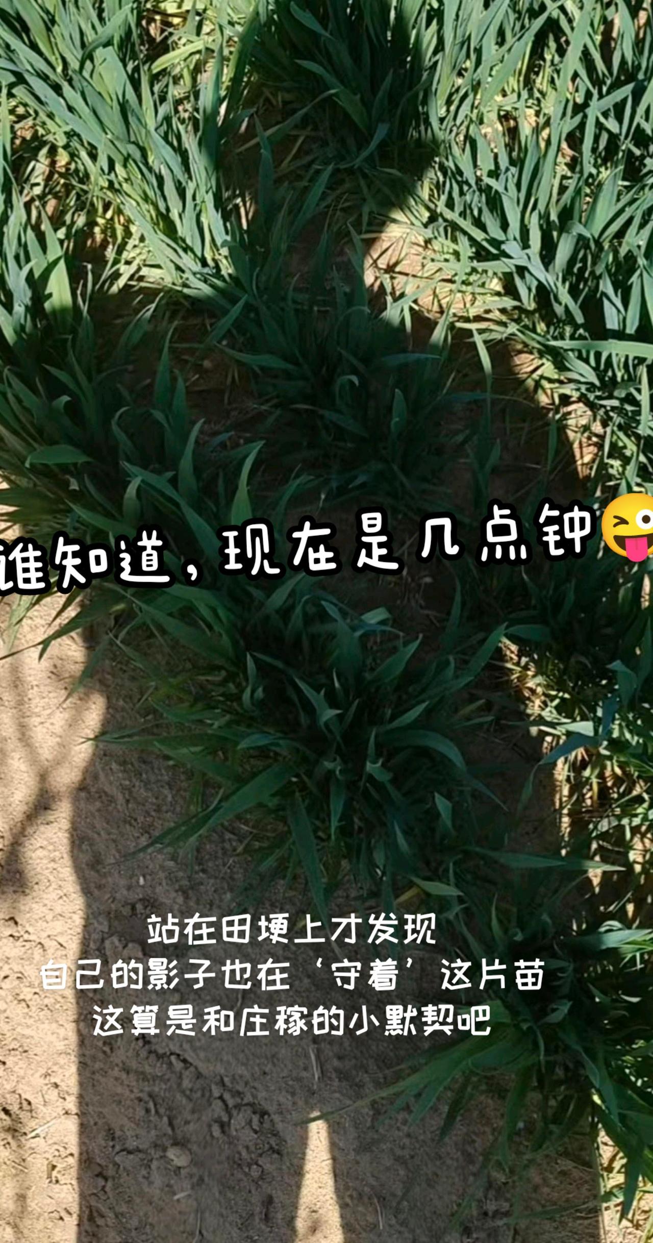 踏青！
春天 随拍 清明节 我的图片