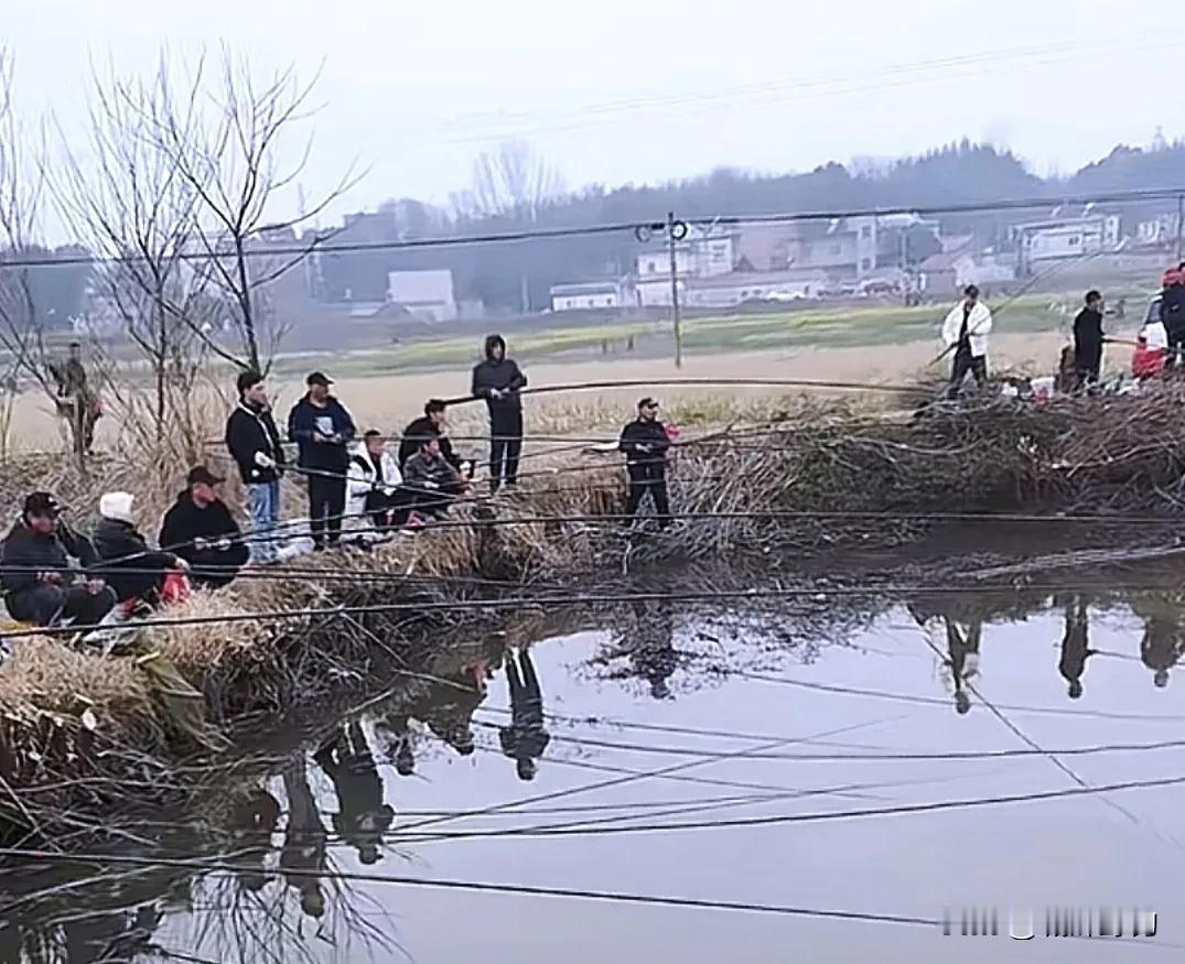 如果考虑便携性，4.5米及以下，短节竿好！不重，也好抛投，可以和同长度长节竿平分