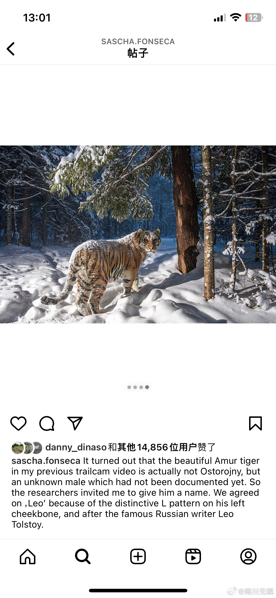 在我现在的愿望里面，想拍野生老虎占了很大一部分。野生动物摄影好像不论是拍什么开始