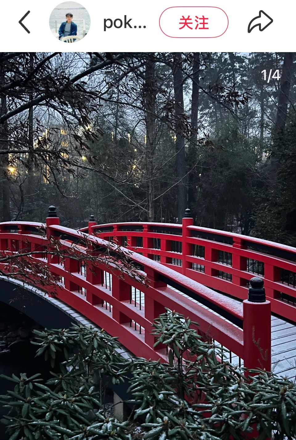 🍠上有个在杜克留学的博主发的雪景独立小桥风满袖，平林新月人归后 