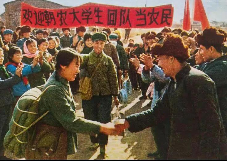 #中国宣传画# “欢迎朝农大学生回队当农民”，您听说过朝阳农学院吗？