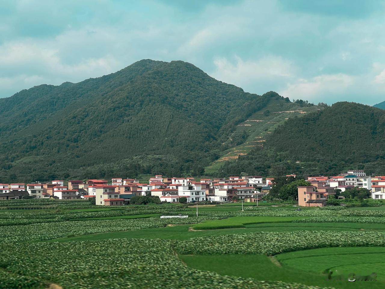 路过最美的风景，山水田园，乡村美景

随手拍 风景 原图