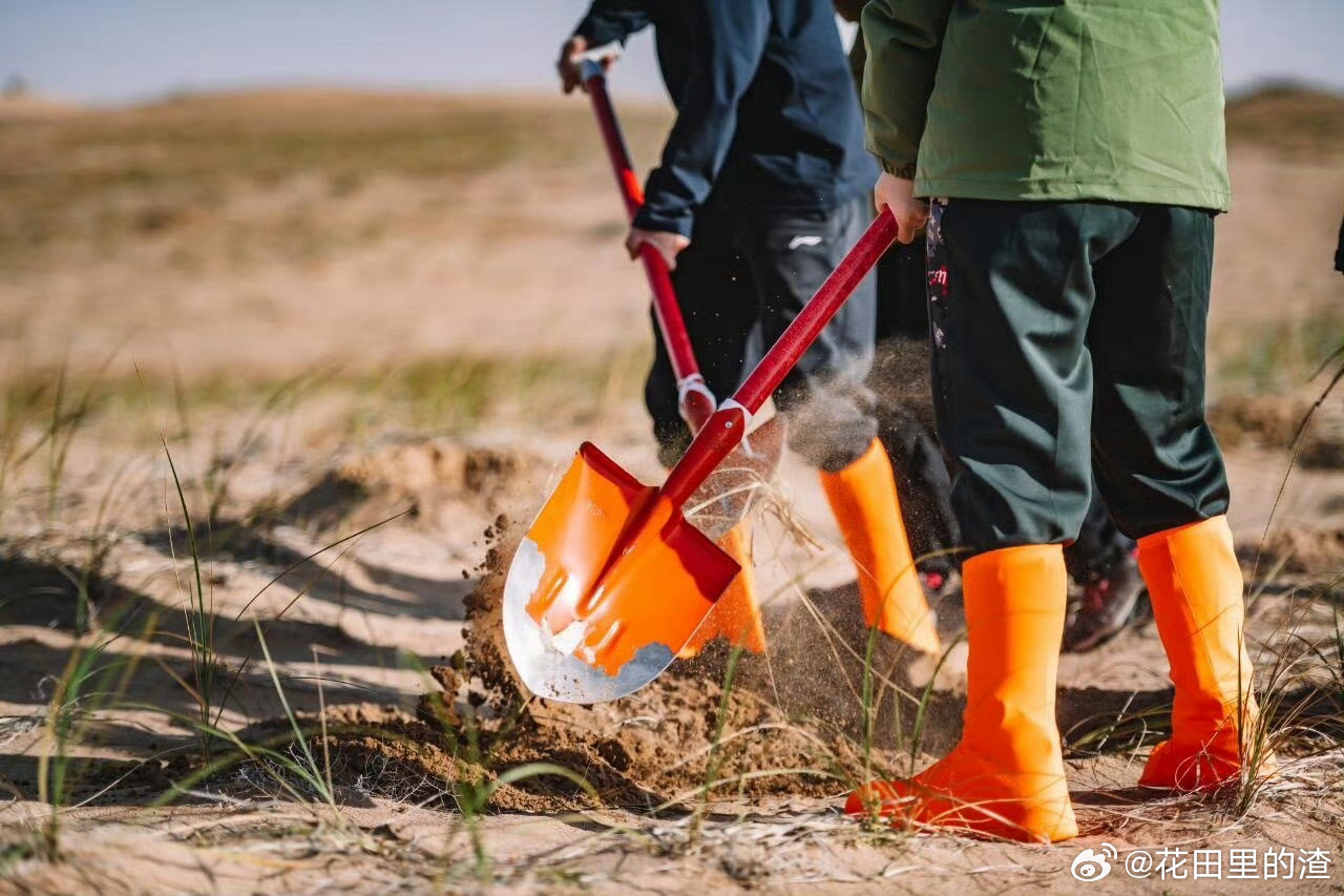 武汉大学生喜提梭梭树主理人身份春天给武汉的请柬 逛吃还能当“树主”！武汉创意城春