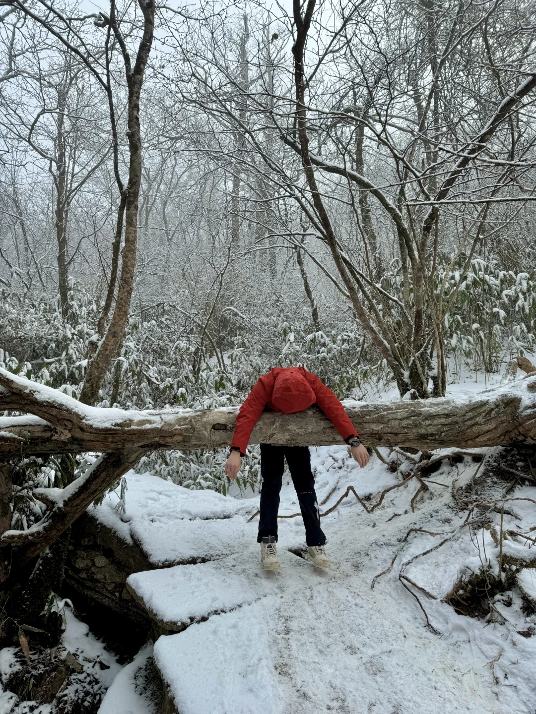黄山你就去吧！一爬一个不吱声😭😭😭