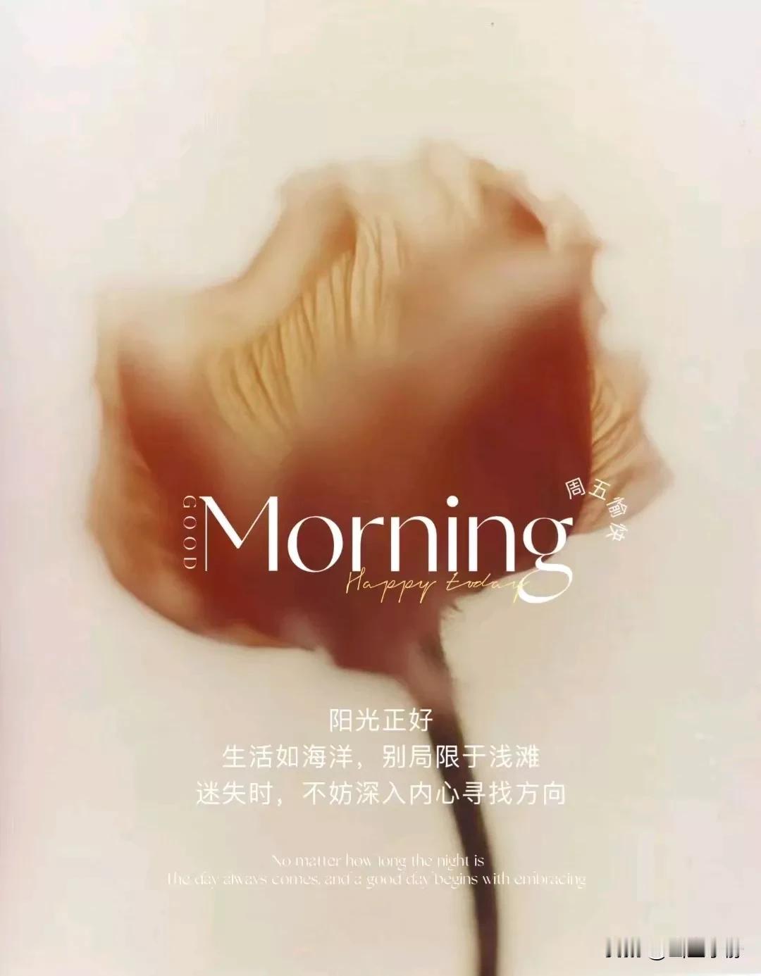 不必逆袭风浪
但要保持向日葵般的乐观
我们内心的阳光，足以驱散阴霾，照亮前行的路