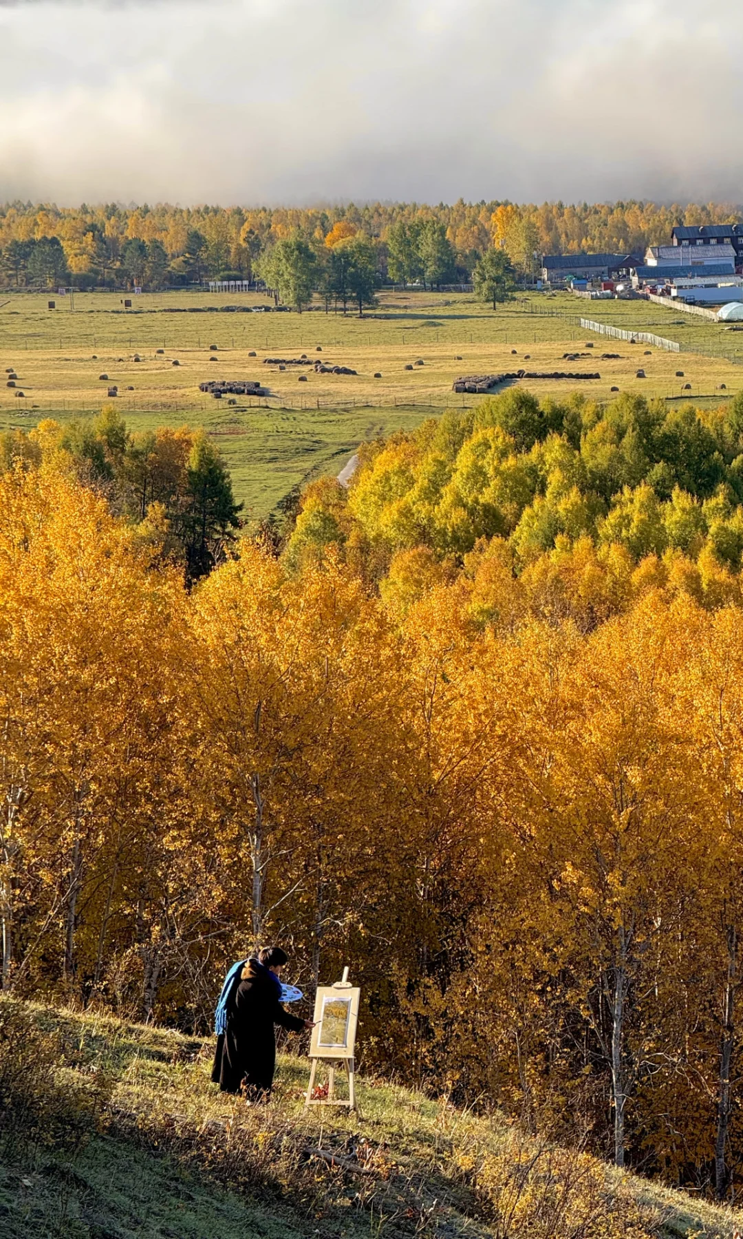 终于，我在大兴安岭看到了满屏的金色秋天