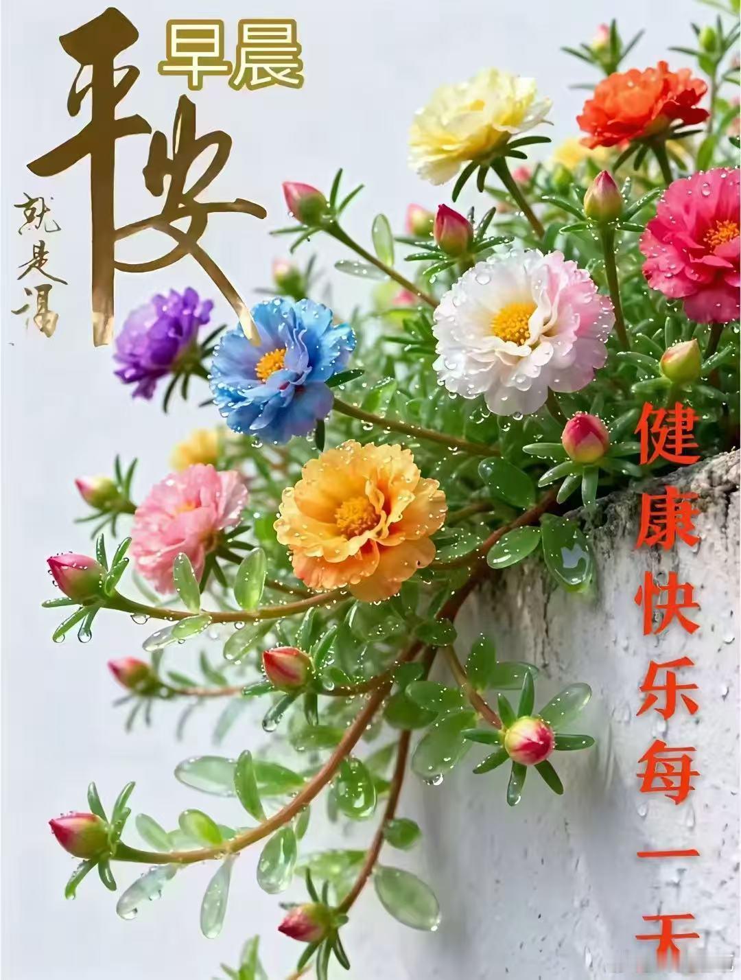 每天摸鱼打卡！     岁月含香，情谊悠长；用心问候，情暖心房；心随所愿，送上吉