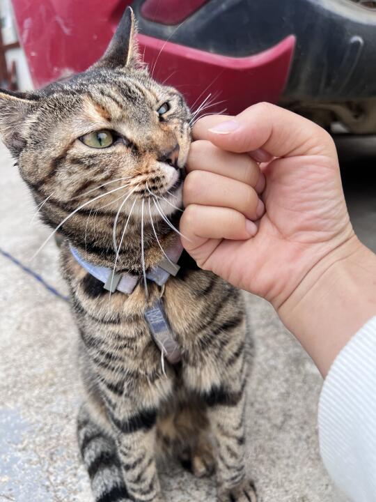 吃我一拳