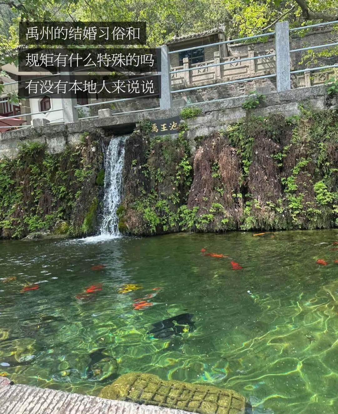 禹州结婚彩礼啊，改口费啊什么的特殊的婚俗。有没有本地人补充一下啊，怕疏忽了禹州 