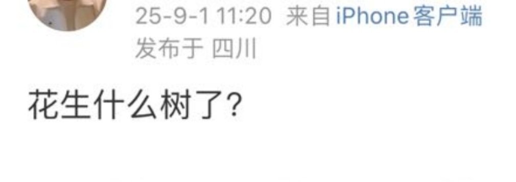 关注摸鱼频道我就信你 ​​​