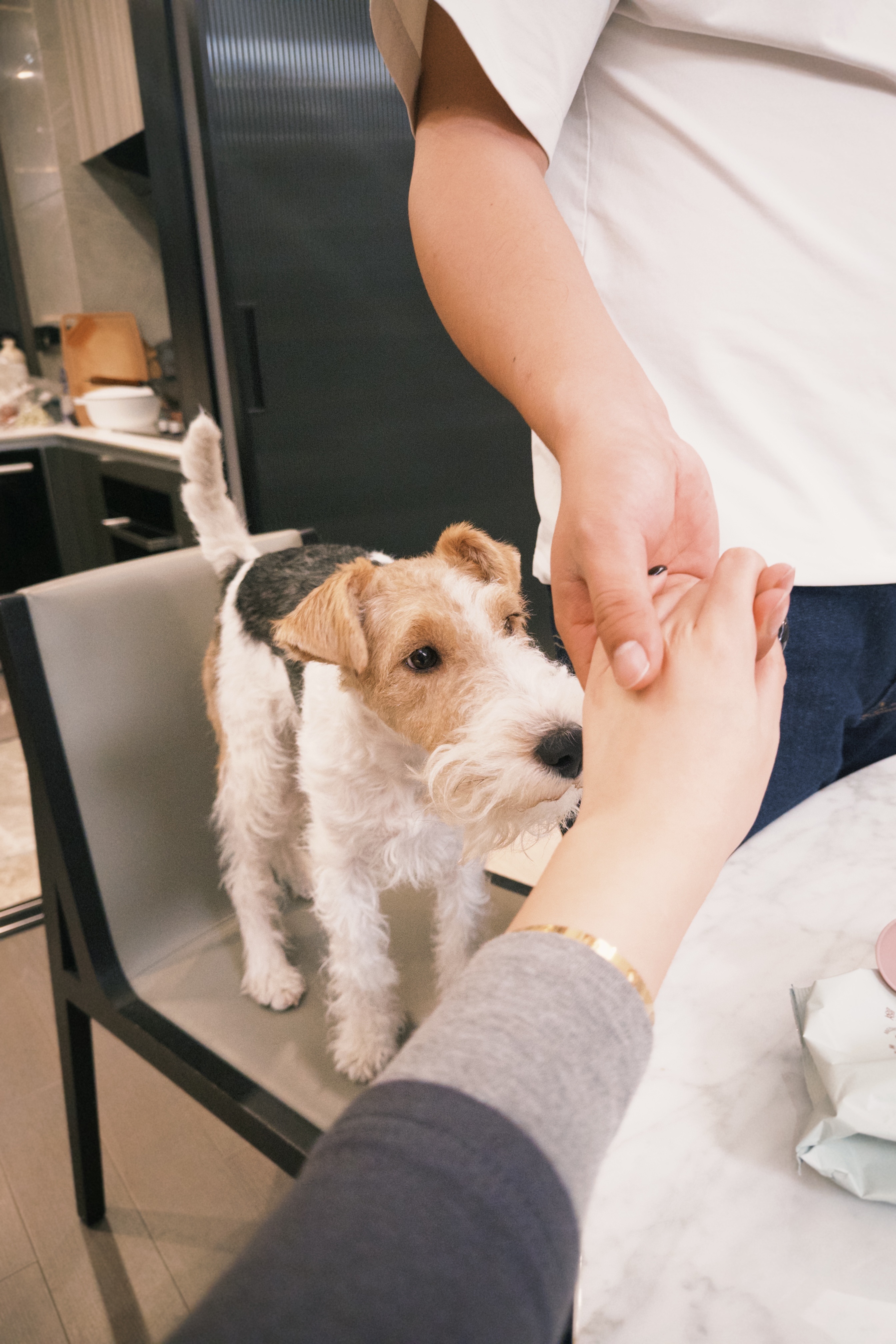 早上好啊，你们啥时候放元旦？ 