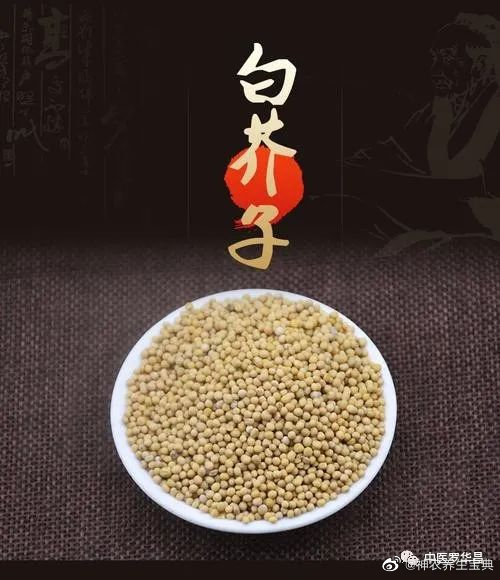 此药能搜剔内外痰结，及治乳痈、乳癌、乳腺疼痛、结核殊有神效。[赞啊]罗华昌 中医