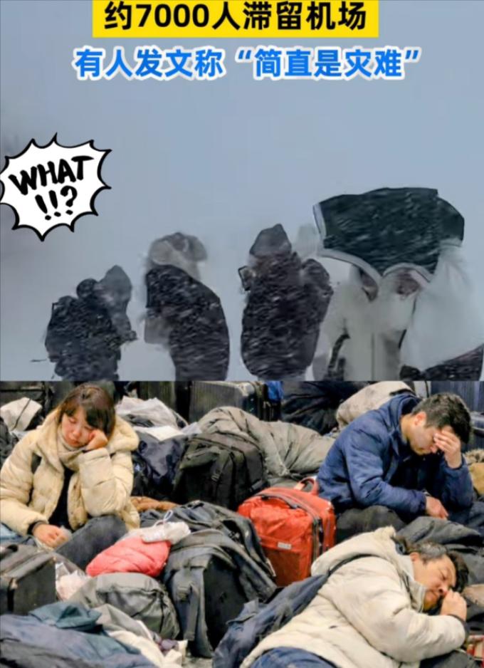 “求救！被困北海道机场，急求国家派包机接我们回国！”最近，互联网上的一些声音，让