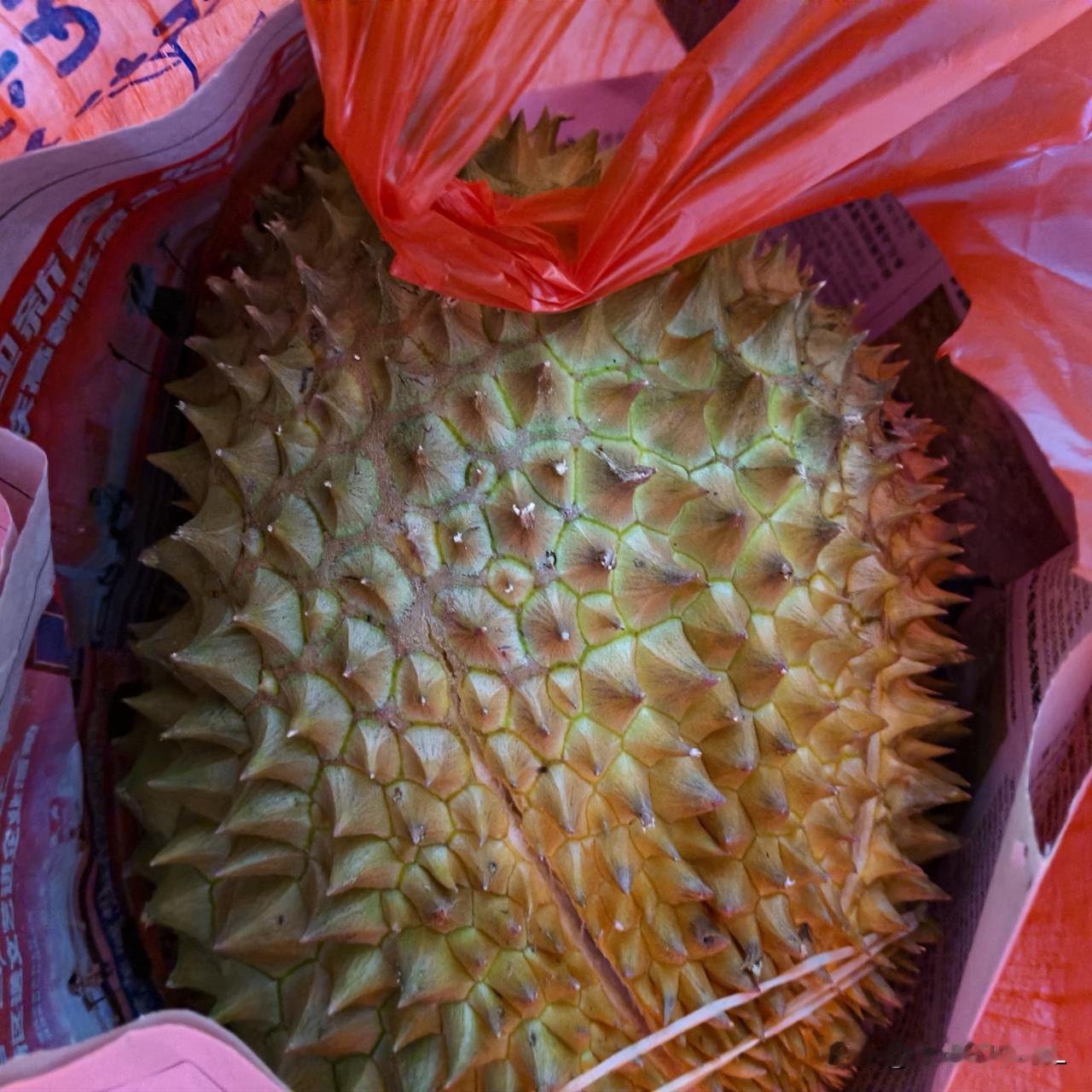 我万万没有想到一个城区楼下居然找不到一个卖榴莲的店铺。昨天晚上7点左右，就到了我