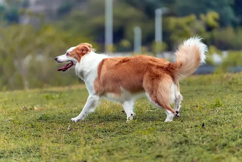 今天和老公吵架了 狗洗澡花100 骂了我一顿 说赚钱不容易 心疼洗澡

今天和老