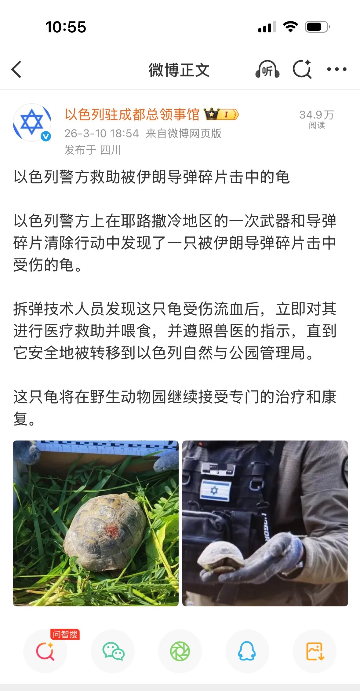 以色列人真是大善人，连受伤的乌龟都救！但你们不关心人类吗？伊朗这次冲突就是以色列
