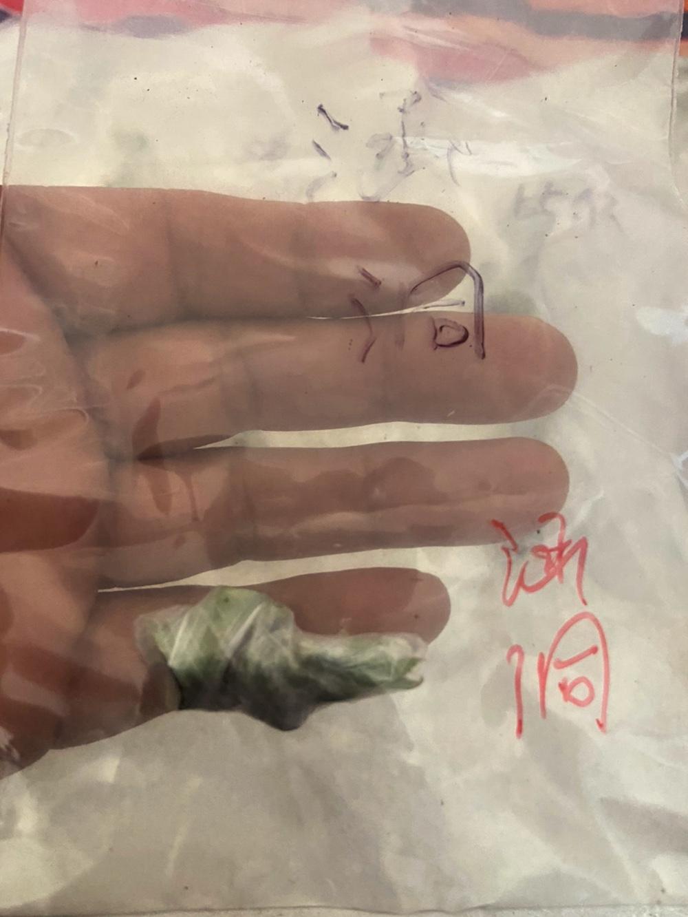 心心念念的涵洞无花果枝条终于到手啦，这品种我喜欢好久了！涵洞无花果可是出了名的好